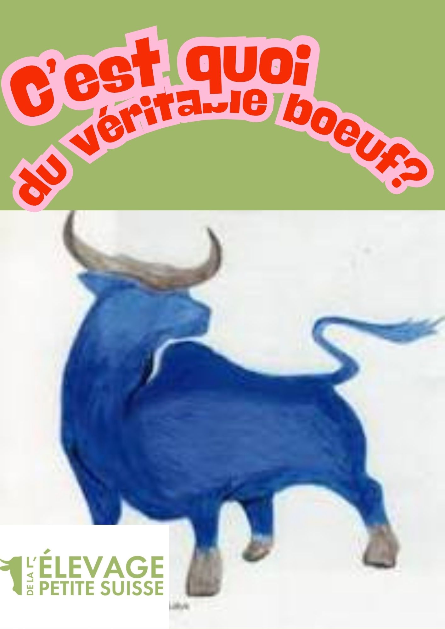 du véritable boeuf de l'Elevage de la Petite Suisse à Lompret Chimay
