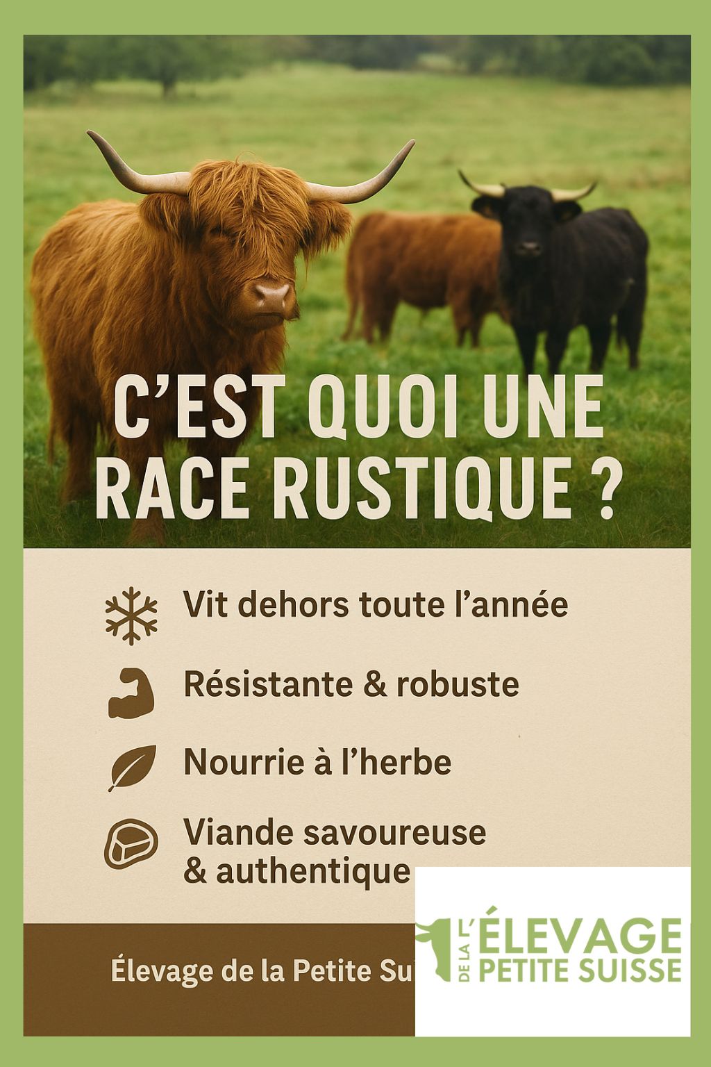 des races rustiques à l'elevage de la petite suisse à Lompret