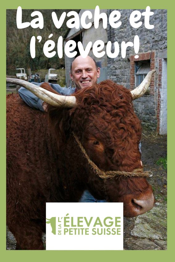 La vache et l'éleveur - à l'Elevage de la Petite Suisse