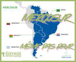 Mercosur, même pas peur à l'Elevage de la Petite Suisse