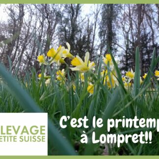 Le printemps à la petite suisse de lompret